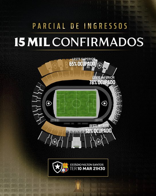 Imagem do Estádio Nilton Santos