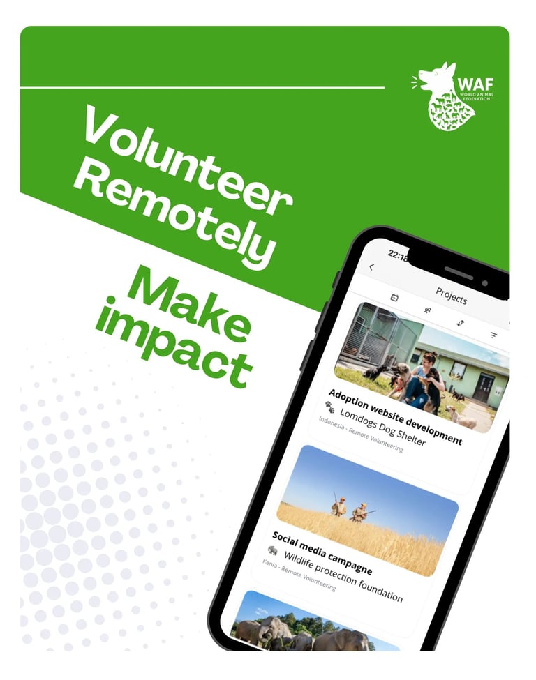 Volunteer remotely project image