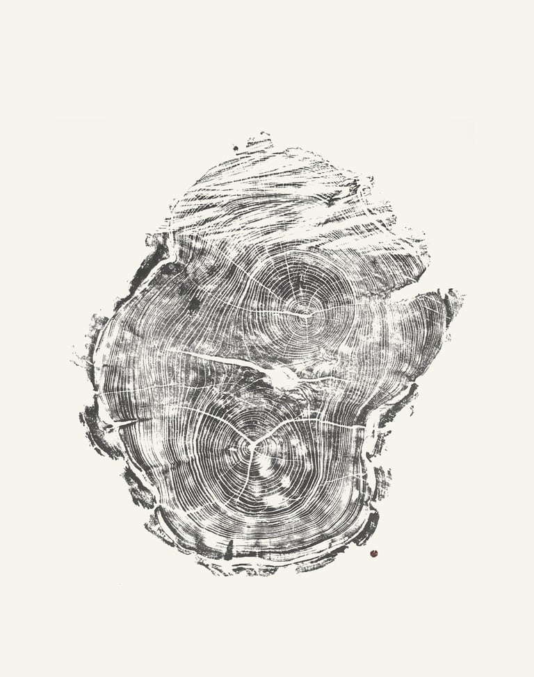 Grabado árbol Acacia 01, hecho a mano Autreesia estudio. Javier Núñez Arquitecto