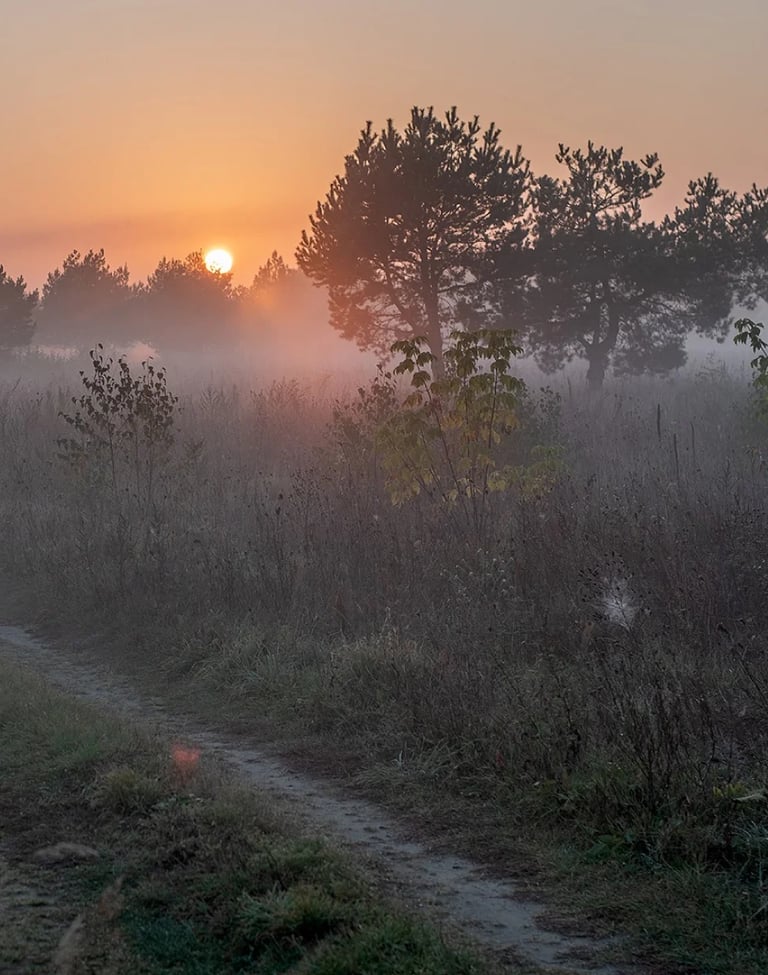 ThetaHealing mokymai Būties planai - rūkas gamtoje