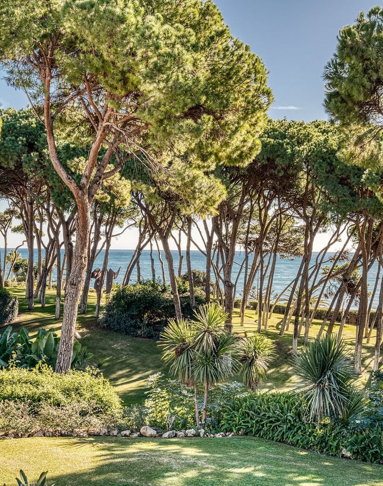 Garden and sea view at Villa El Rincon with pine trees