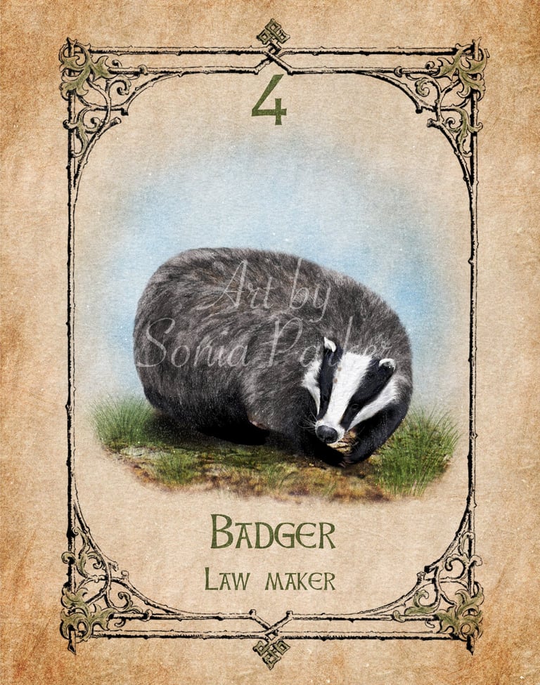 Badger, a card from the animal spirit oracle deck