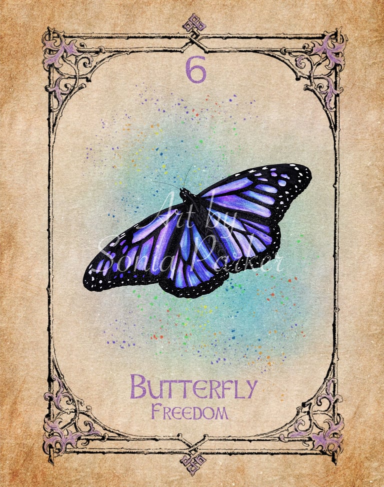 Butterfly card from the animal spirit oracle deck