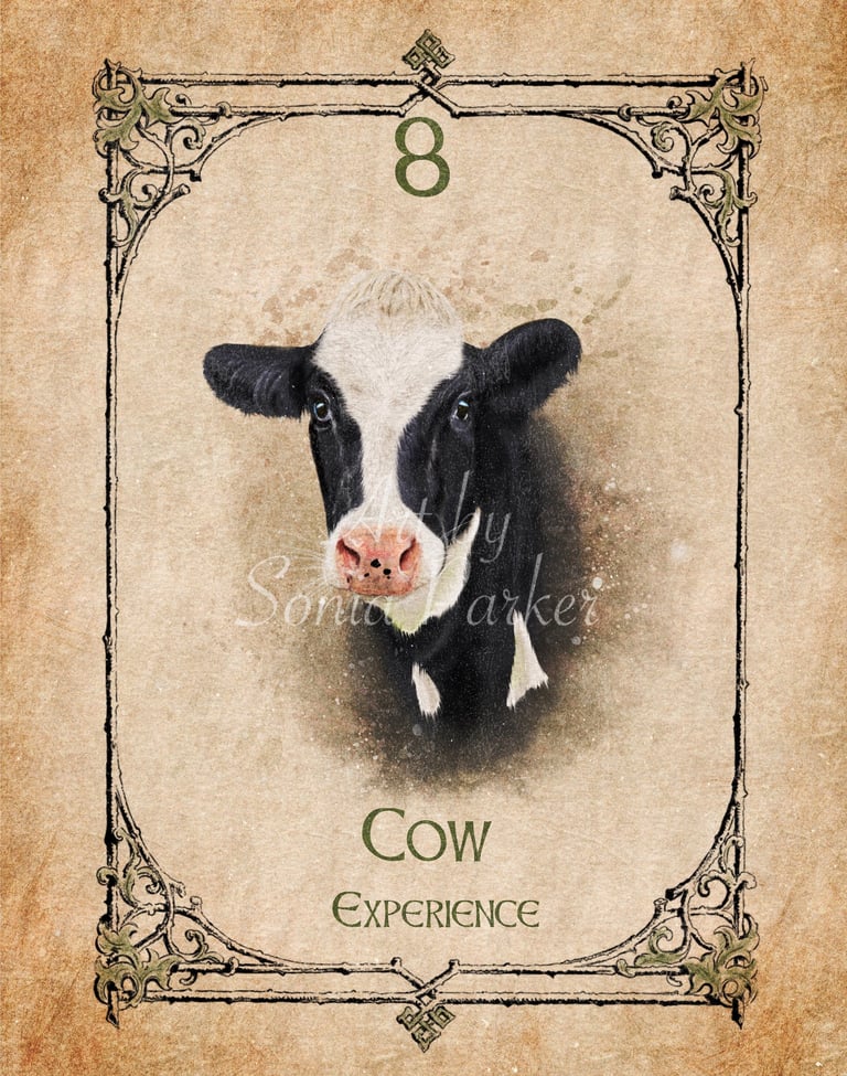 Dog, a card from the animal spirit oracle deck
