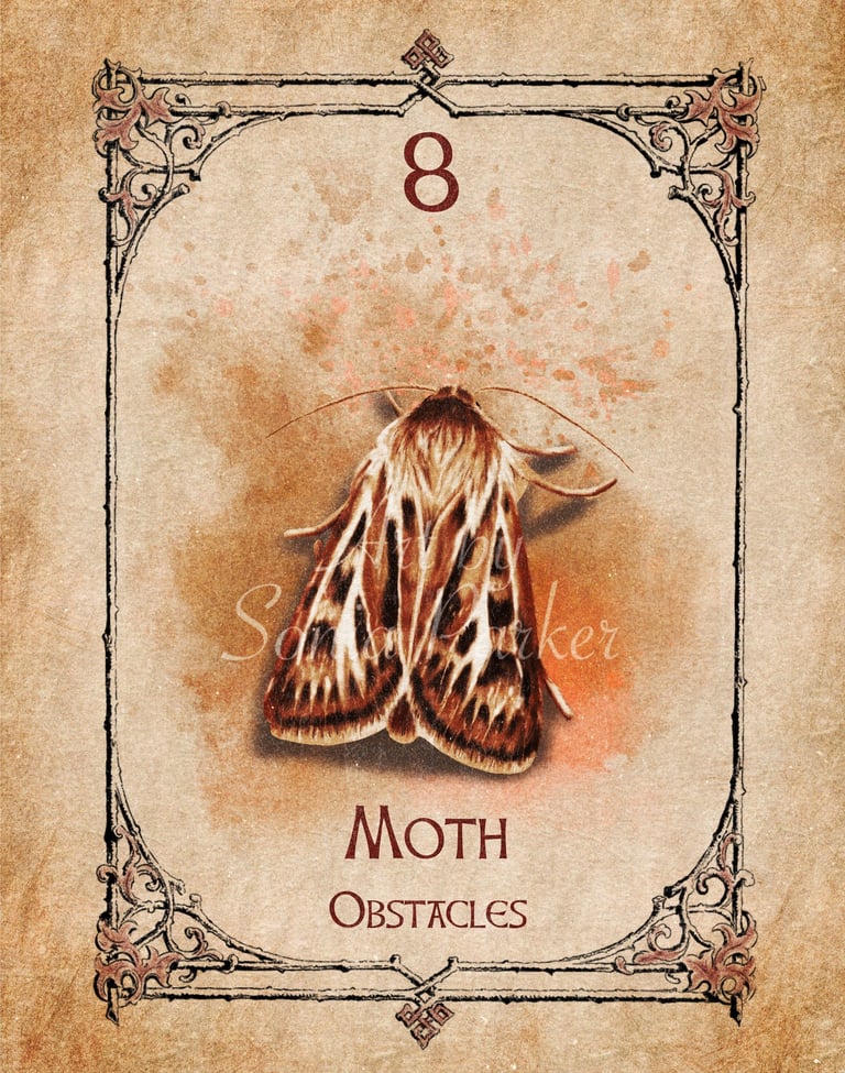 Moth card from the animal spirit oracle deck
