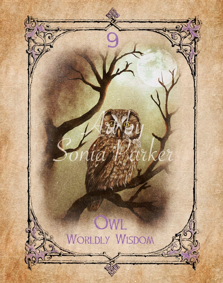 Owl card from the animal spirit oracle deck