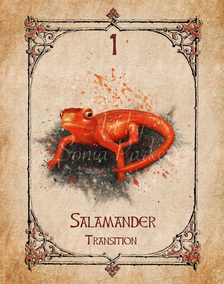 Salamander card from the animal spirit oracle deck