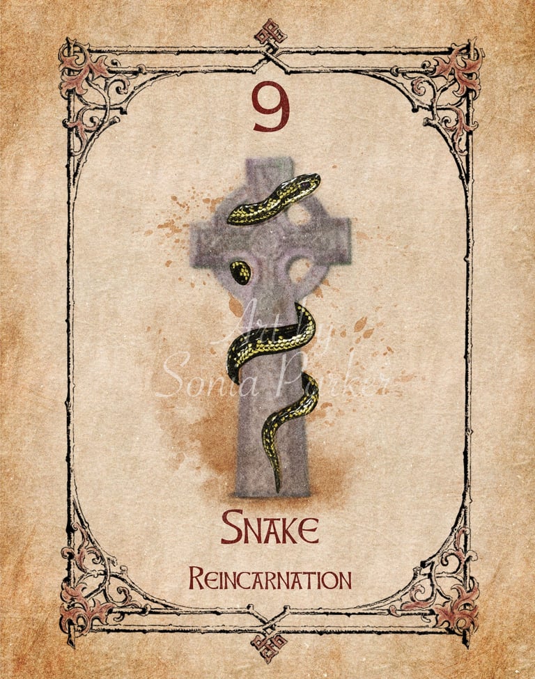 Snake card from the animal spirit oracle deck