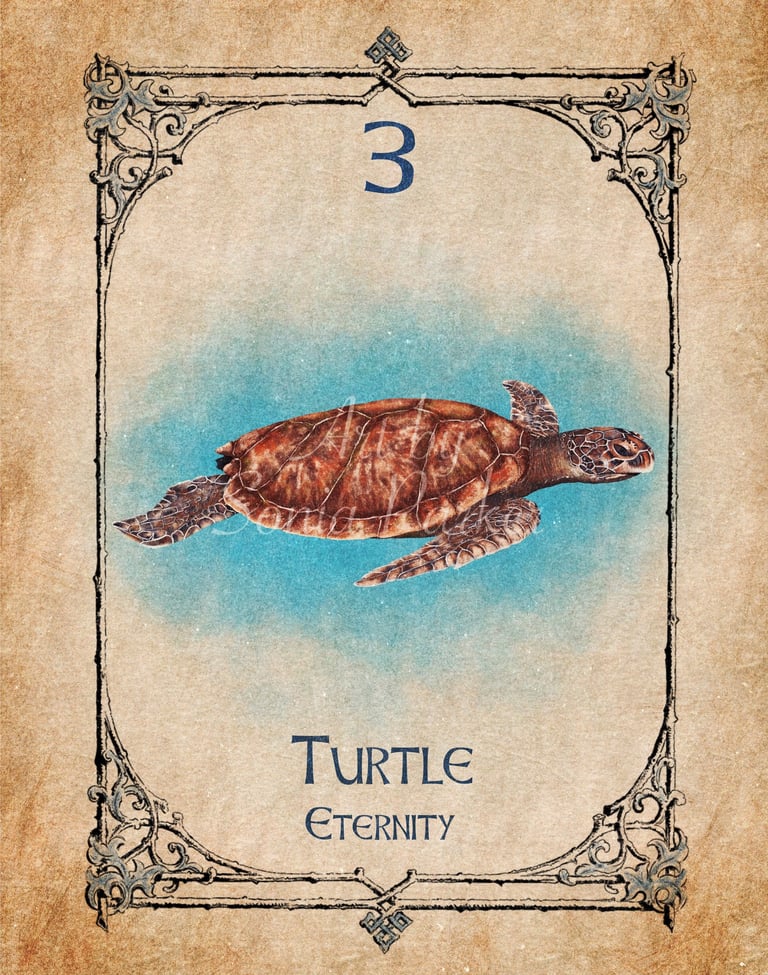 Turtle card from the animal spirit oracle deck