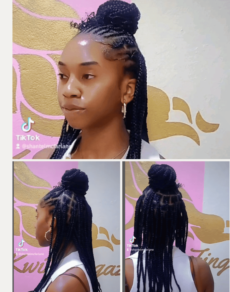 Fulani braids style