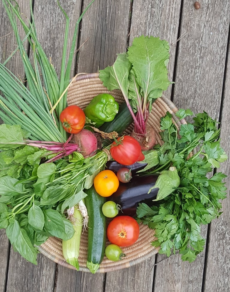  récolte issue d'un jardin écoresponsable: produire ses légumes, c'est prendre soin de la planète