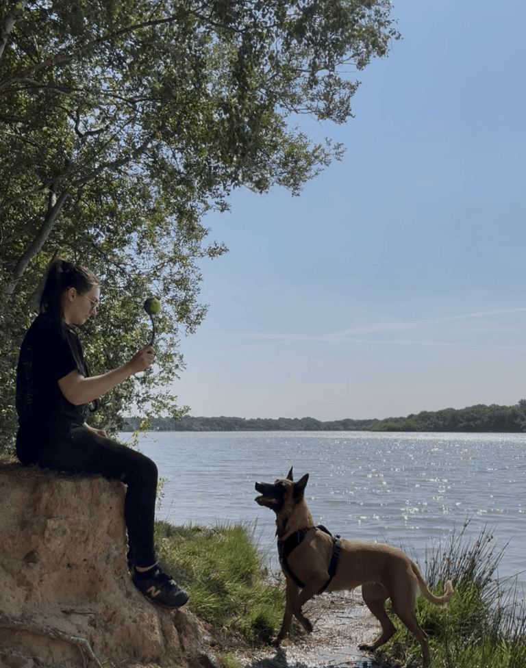 Promenade avec un chien
