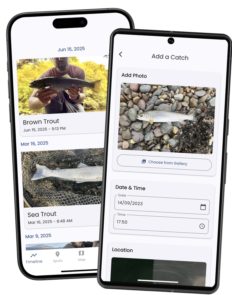Tight Lines App