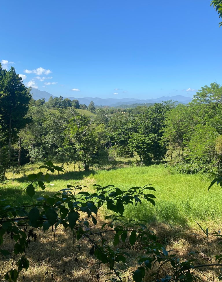 La Propiedad perfecta en Jarabacoa