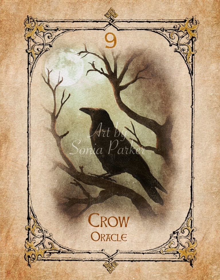 Crow card from the animal spirit oracle deck