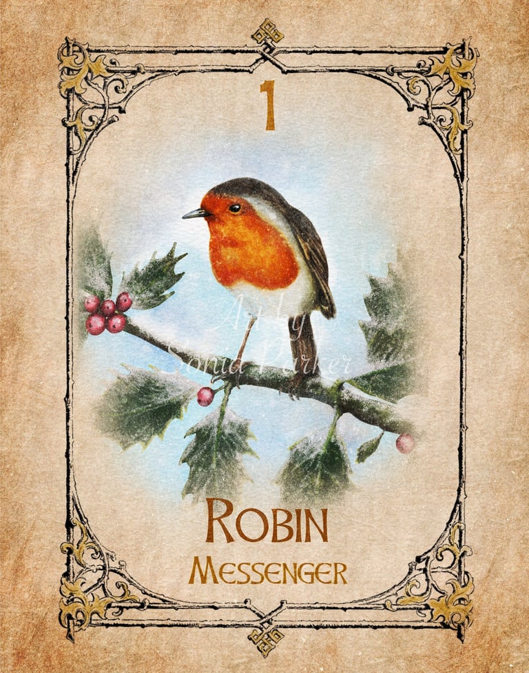 Robin, a card from the animal spirit oracle deck