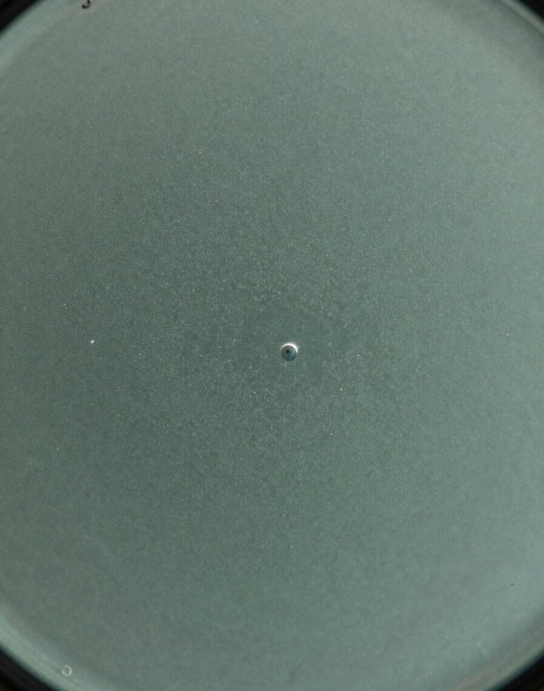 Extreme macro photography of a glass surface with subtle frosted sage glass tints. Light refracts through the surface, creating an abstract, cinematic image of microscopic particles that resemble stars or bosons.