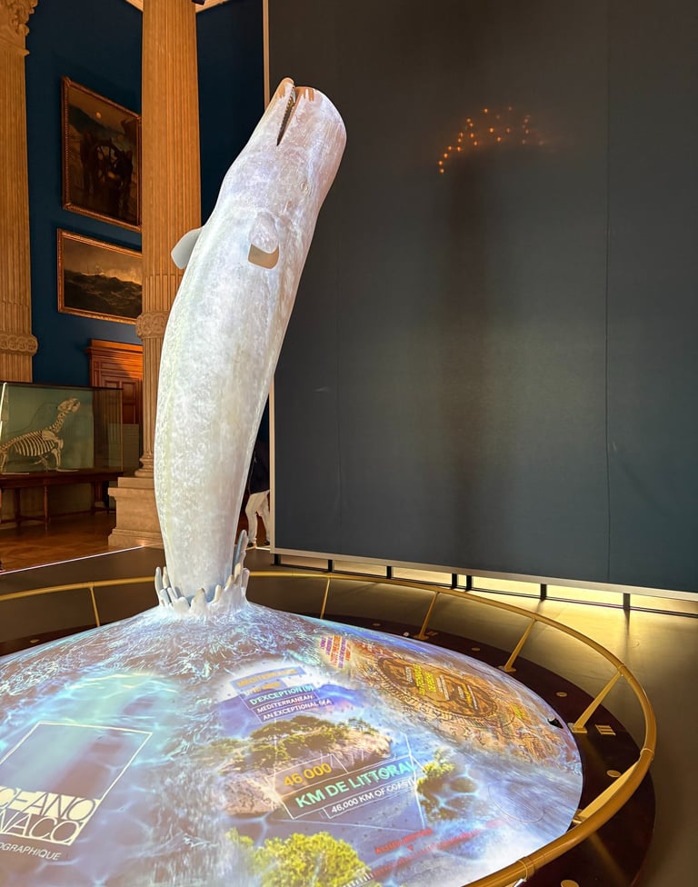 Musée océanographique