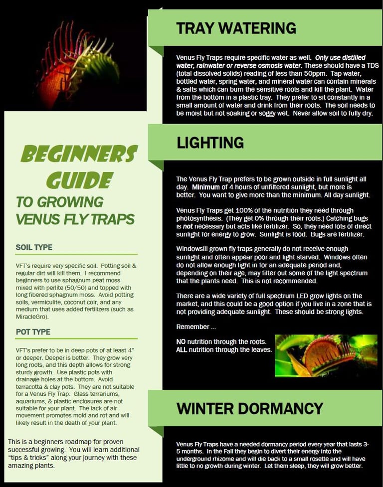 A Beginners Guide to get you started with your growing journey.