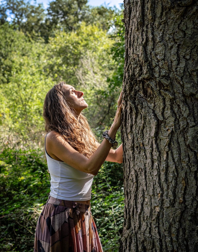 chamanisme holistique