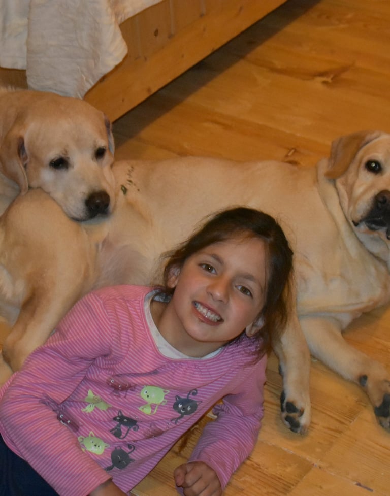 Dog Boarding, Dog Boarding near me, Pet Boarding, Pet Boarding near me, Dog Care, Happy Pettings