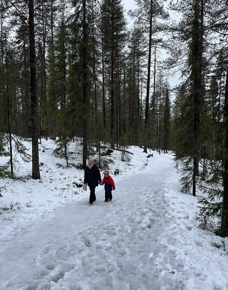 Hiking in Lapland