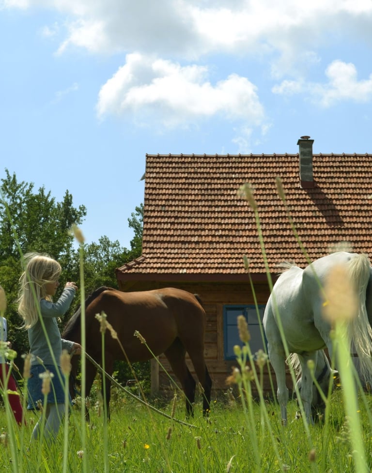 Sękiewiczówka - agroturystyka małopolska - gospodarstwo agroturystyczne dla dzieci