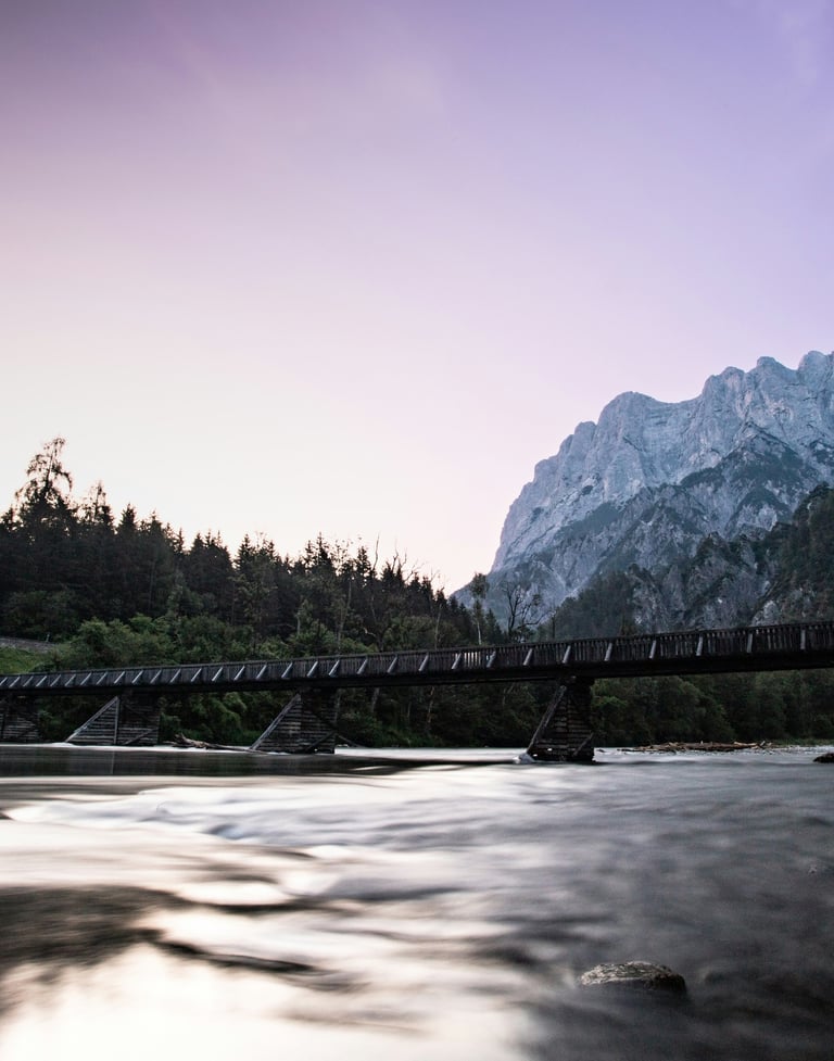 Ponte commerciale Italia Austria