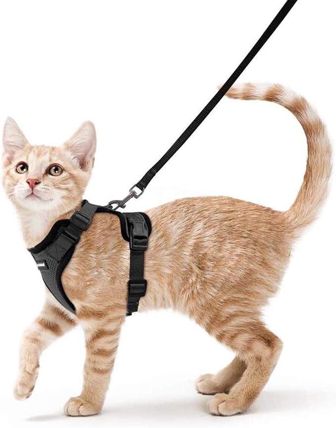Black escape-proof cat harness with adjustable straps and matching leash for walking outdoors