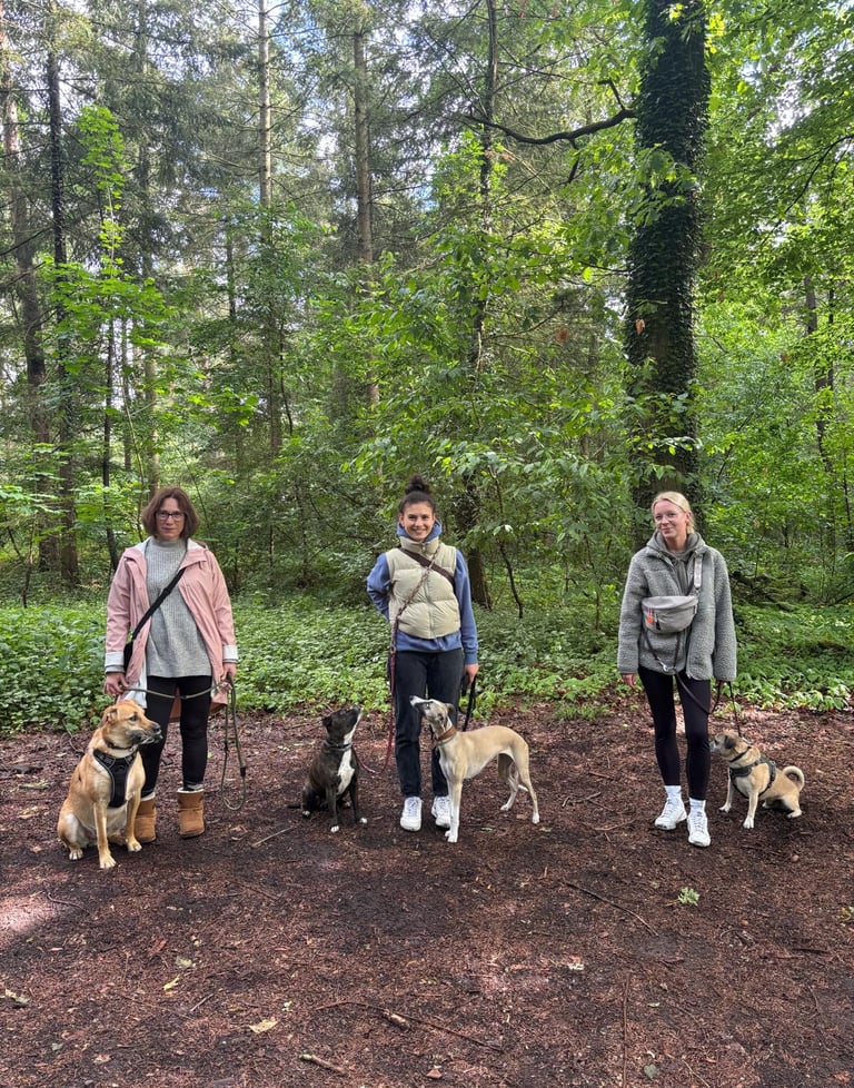 Gruppenfoto vom Social Walk mit Hund in einem Wald