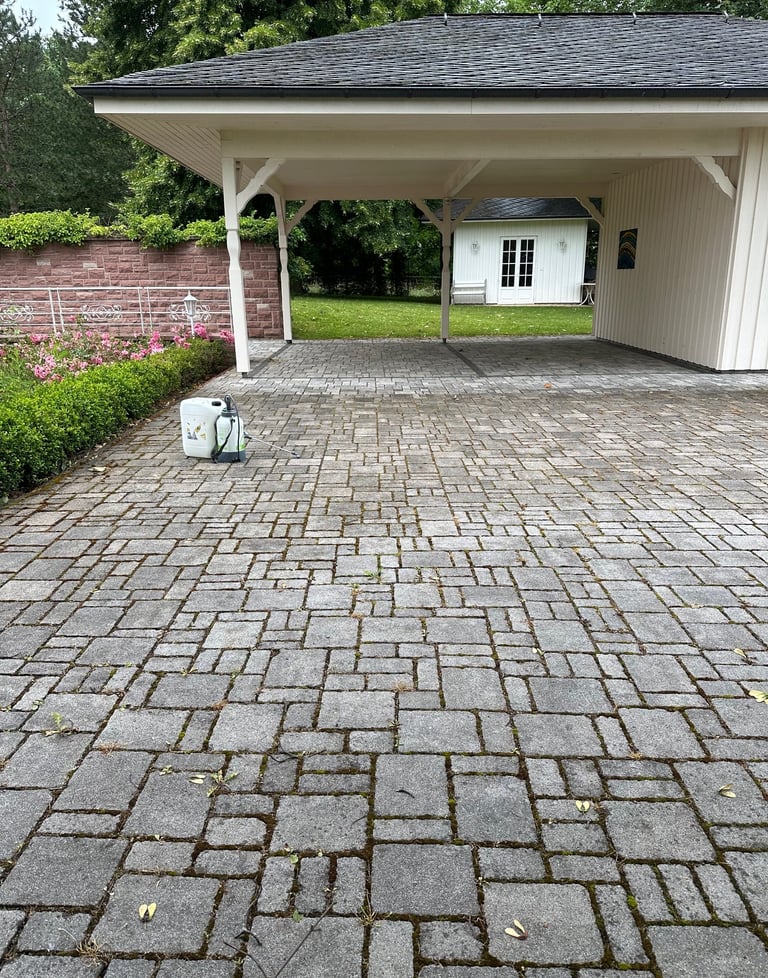 des pavées non traitée