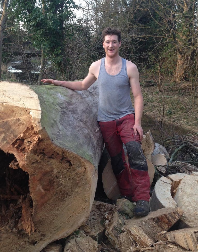 quercus tree specialists