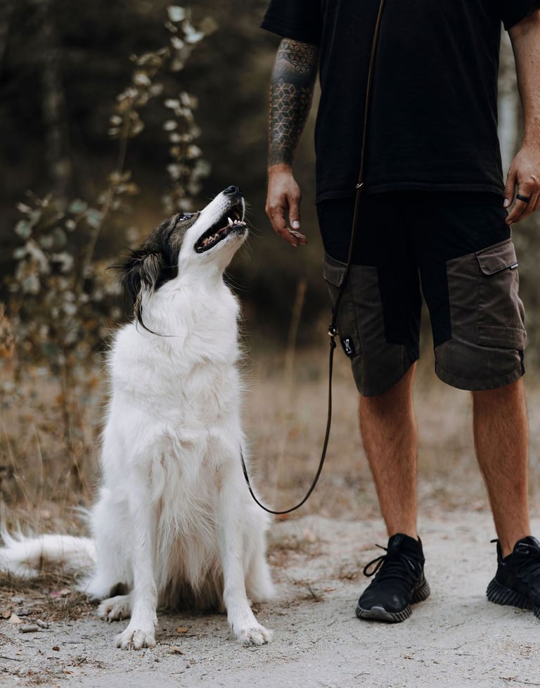 Basti Matern beim Einzeltraining mit Hund