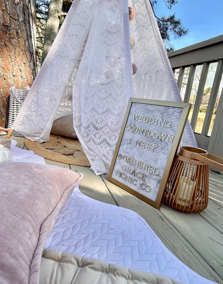 Bridal brunch luxury picnic in blush pink with lace teepee elegant events in North Georgia