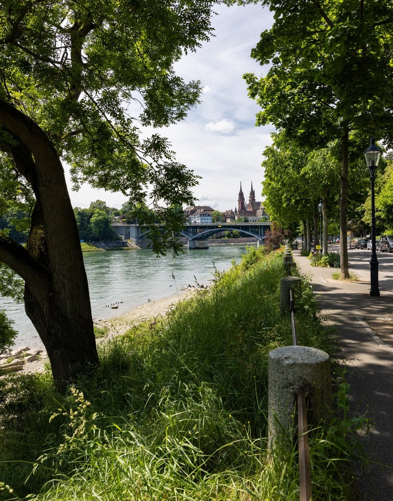 Blick über den Rhein zum Basler Münster – Beispielbild aus dem Allrounder Fotokurs Basel.