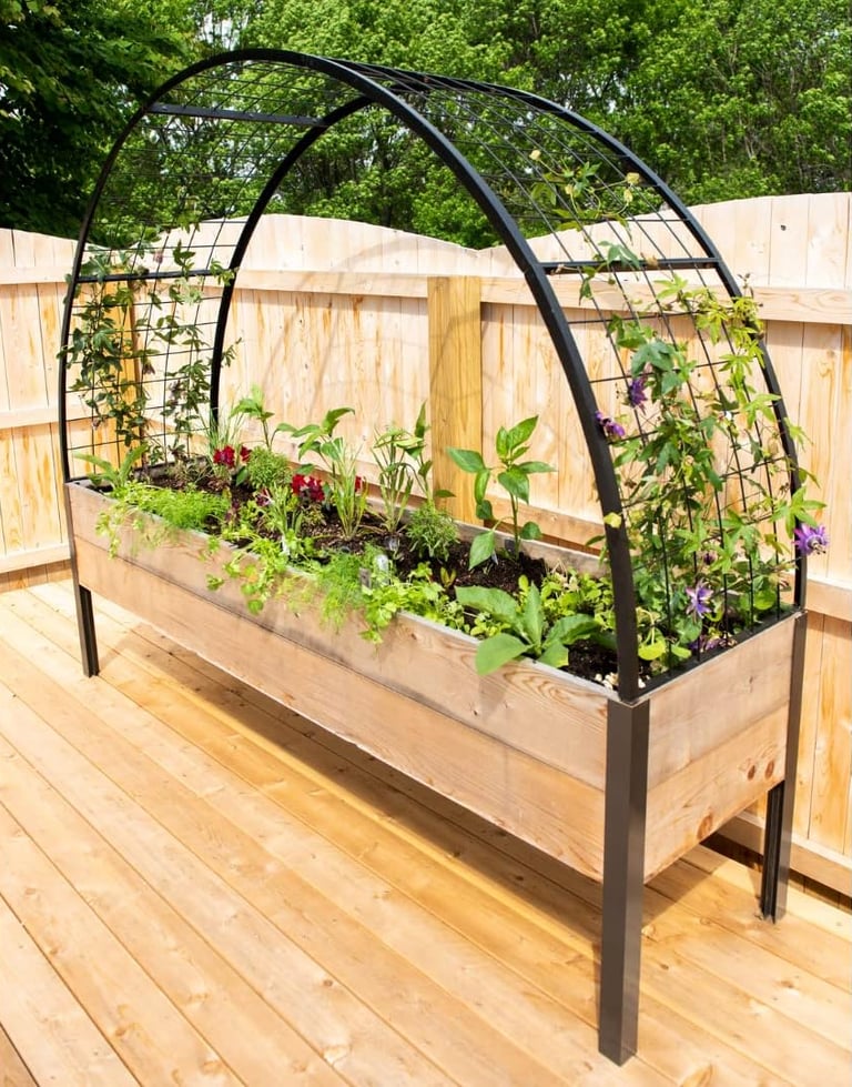 Raised garden bed with a metal trellis arch for climbing plants on a wooden deck.