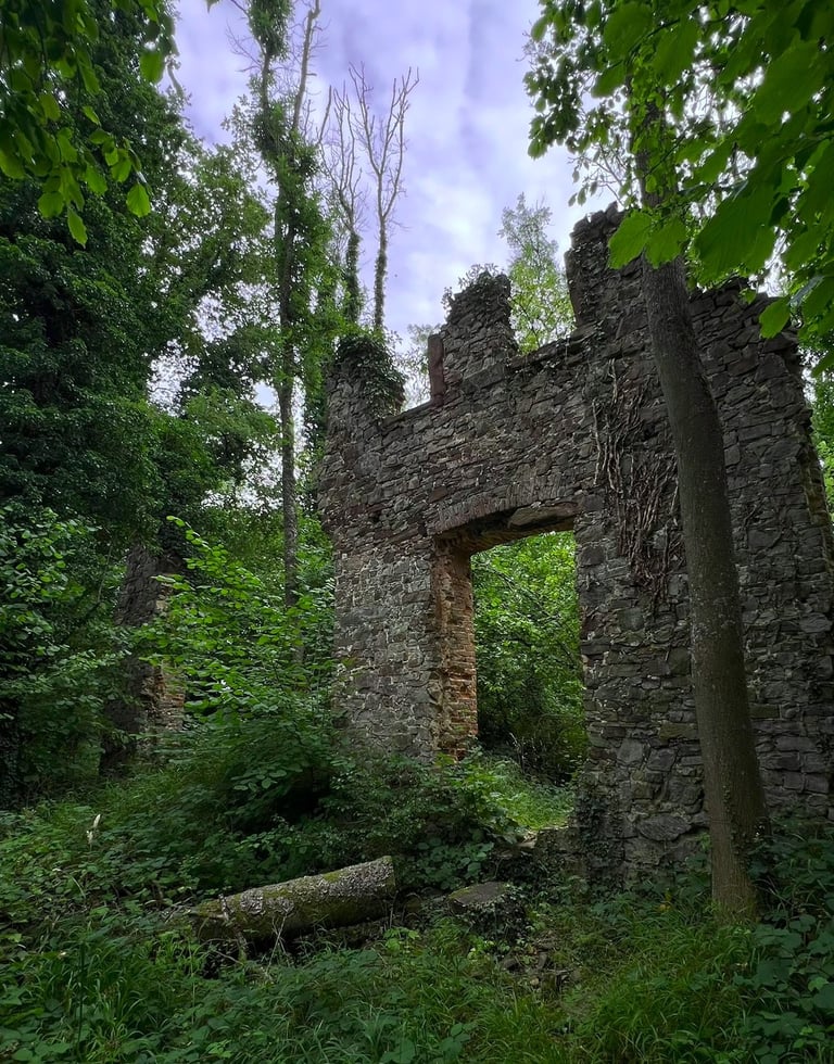 Oude doorgang van de kloosterruïne, half begroeid, omringd door stilte en natuur.