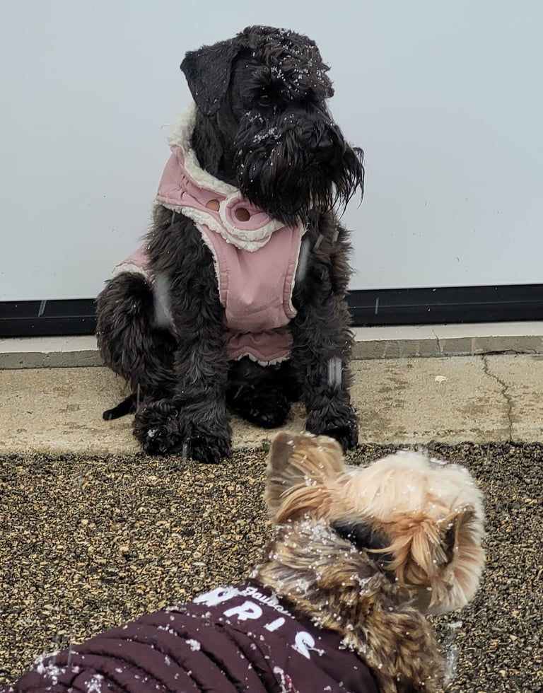 Tessie attend des bébés !