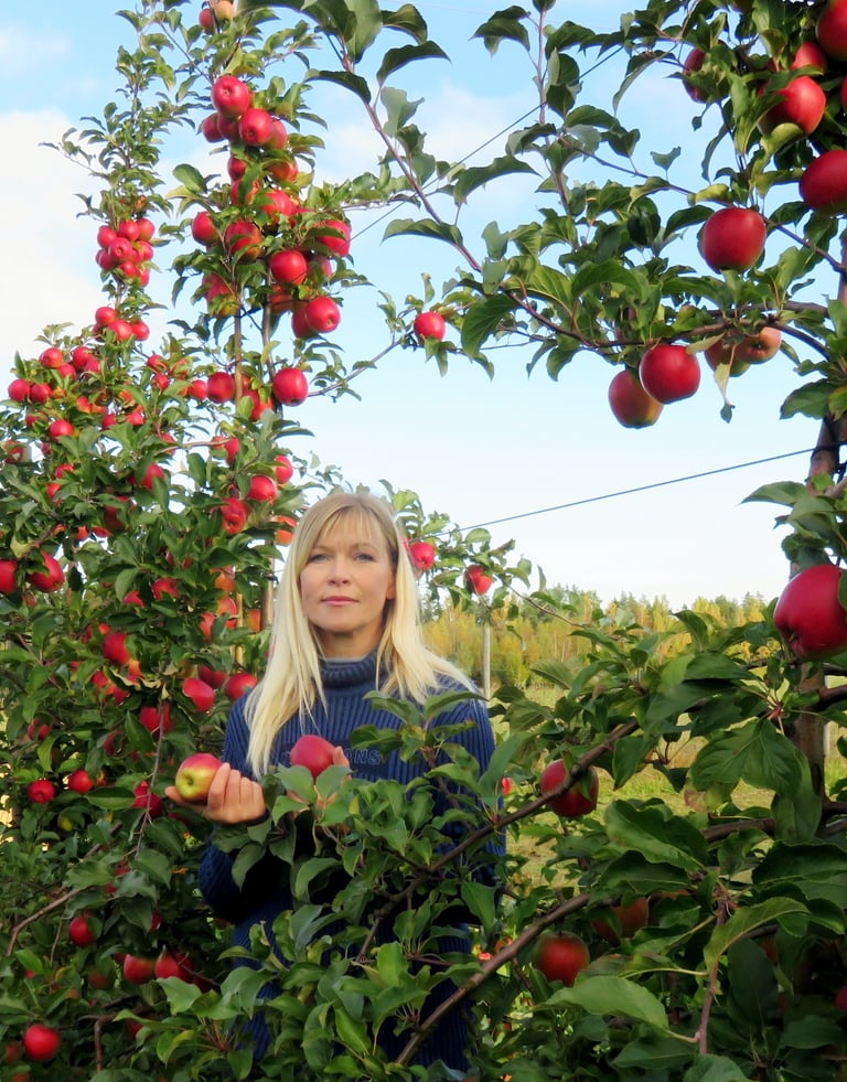 Ille Kasvand.Aianõunik. Tüvekeskne õunapuude lõikusviis. Suured kvaliteetsed viljad, mugav ja kiire korjamisviis.