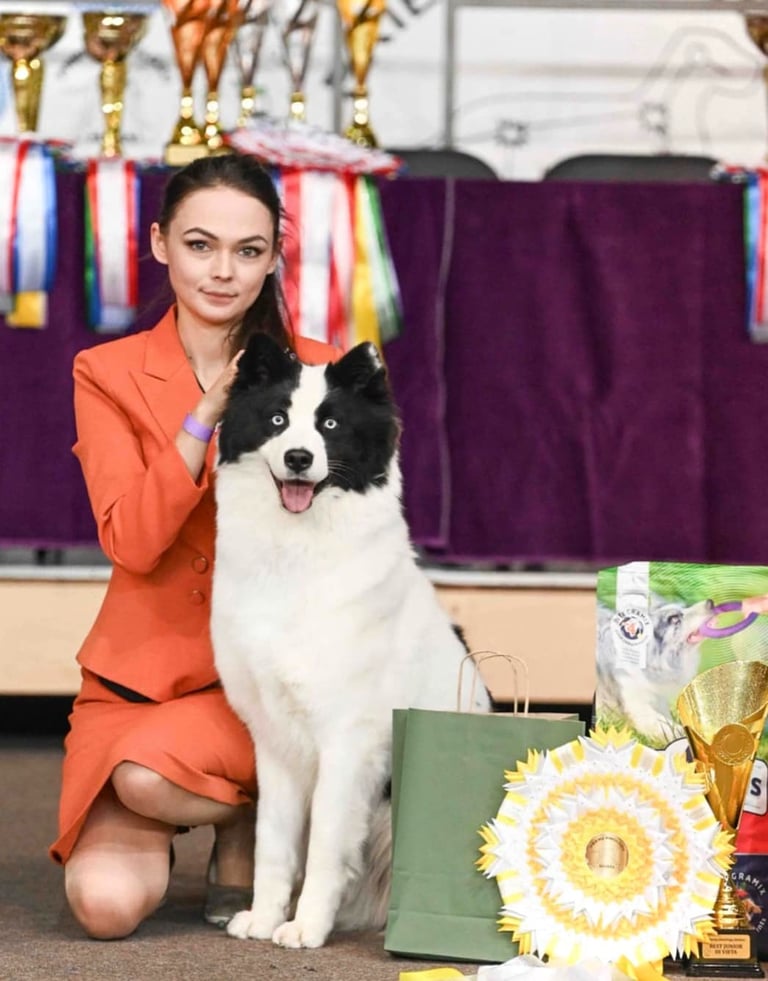 Best yakutian laika kennel