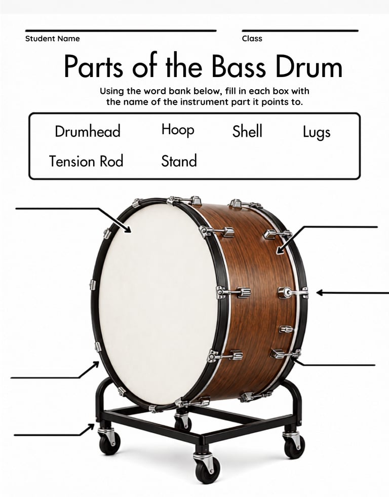 Parts of the Bass Drum