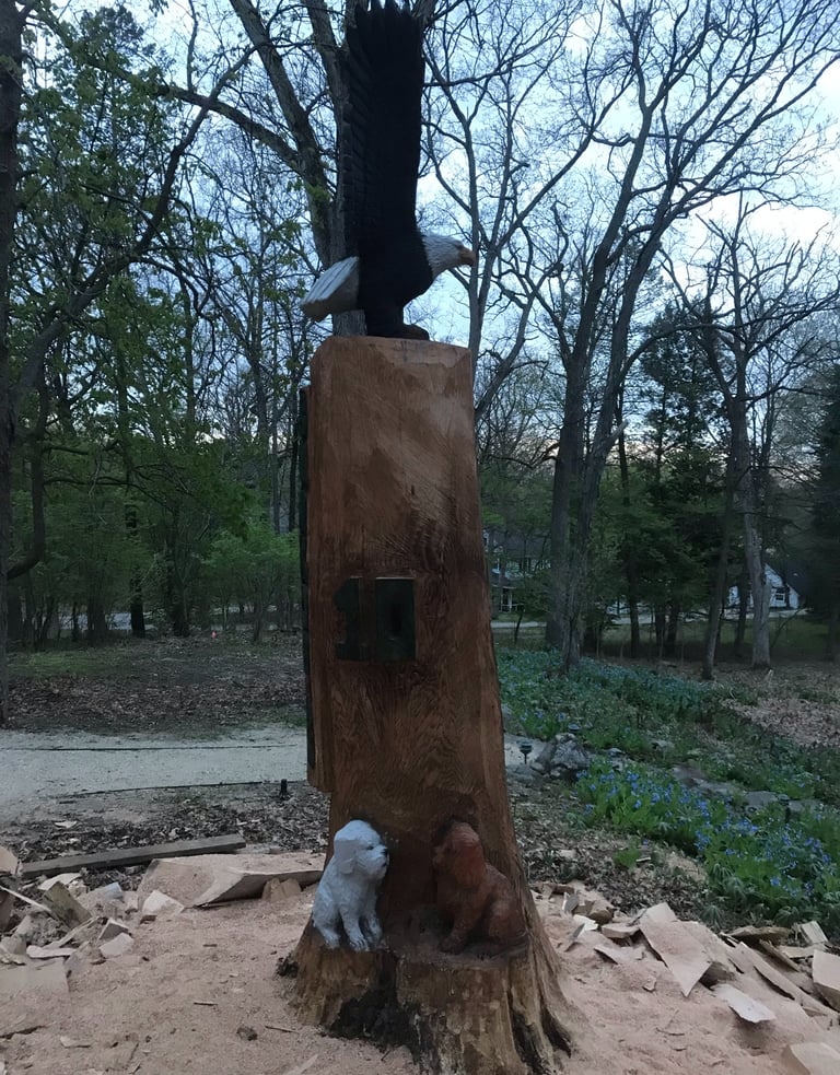 bald eagle wings oak recycle art pets