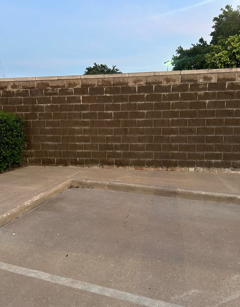 Wall that has been Soft Washed from Mold and Mildew