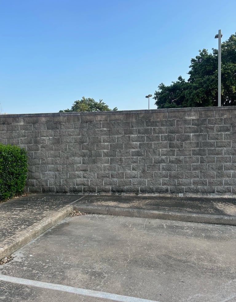 Mold and Mildew on wall before Soft Washing