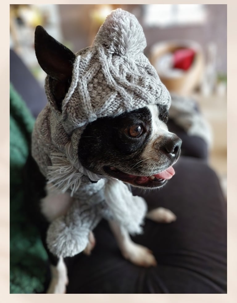 Yoki in her grey winter beanie and scarf.