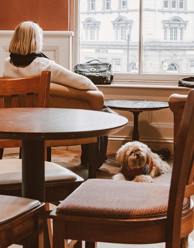 A small dog in a sweater sitting on a cafe floor next to its owner looking out the window.
