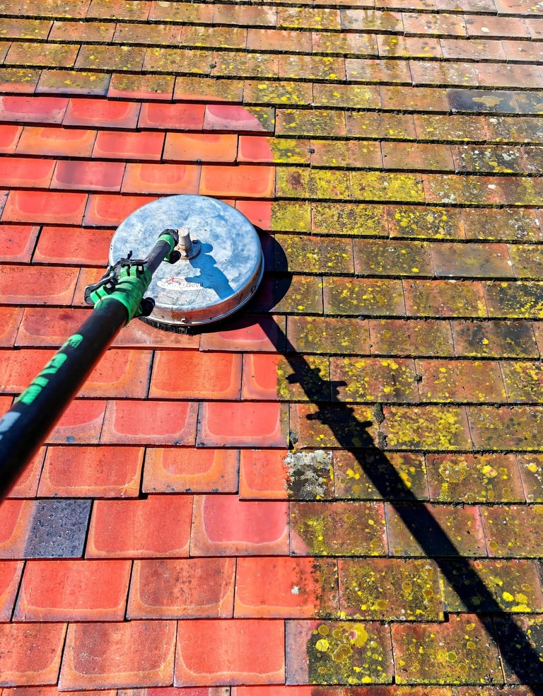 Cambridge roof cleaning