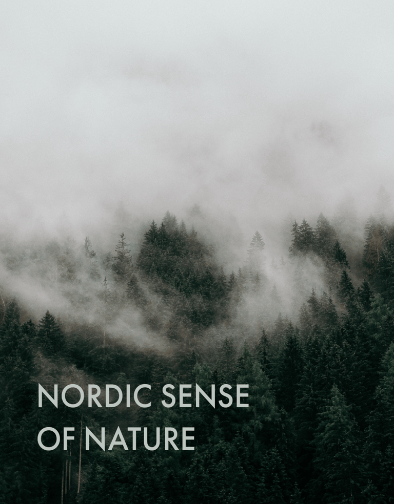 Stemningen i Skogs visuelle stil.