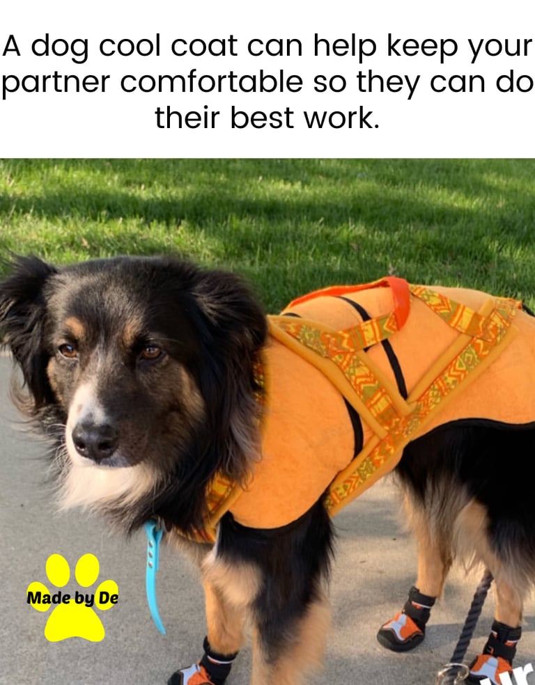 Australian Shepherd wearing an orange dog cool coat under a harness