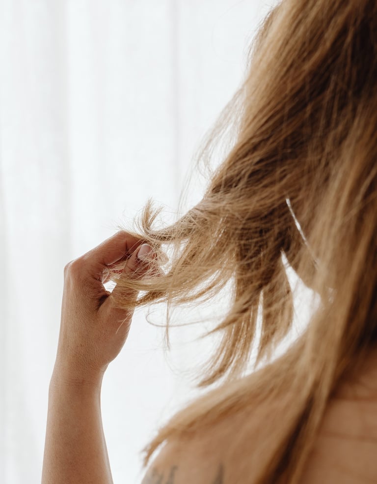 Christina Spence Las Vegas Hair Extensions Hair Extensions Service